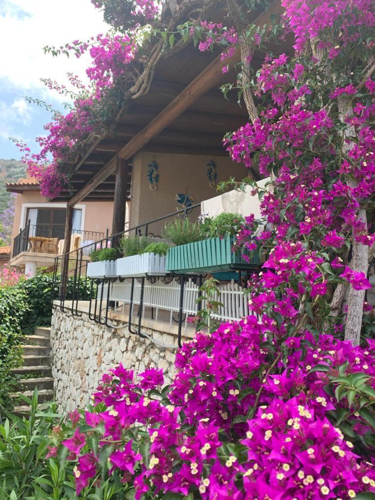 Sea View Bougainvillea 52 Kalkan Eksteriør bilde